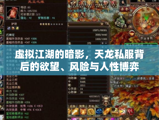 虚拟江湖的暗影，天龙私服背后的欲望、风险与人性博弈