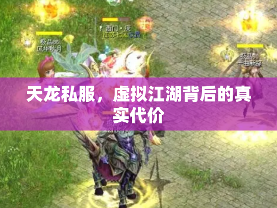 天龙私服，虚拟江湖背后的真实代价