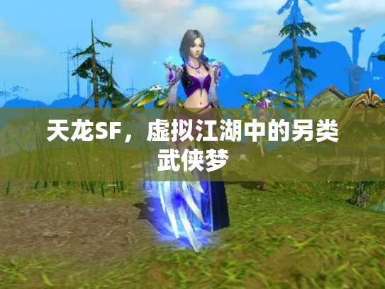 天龙SF，虚拟江湖中的另类武侠梦