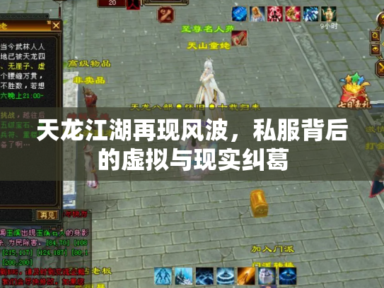 天龙江湖再现风波，私服背后的虚拟与现实纠葛