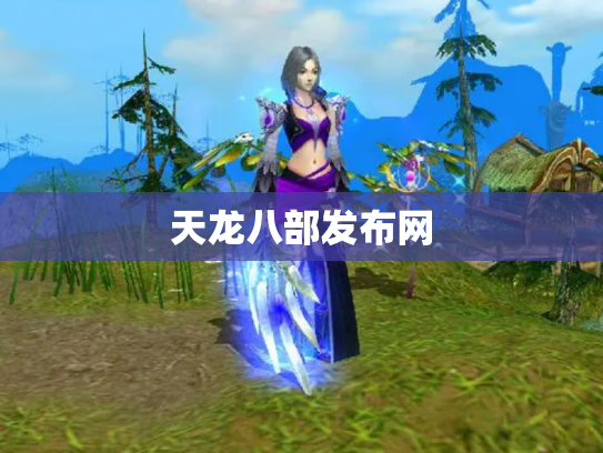 天龙八部发布网