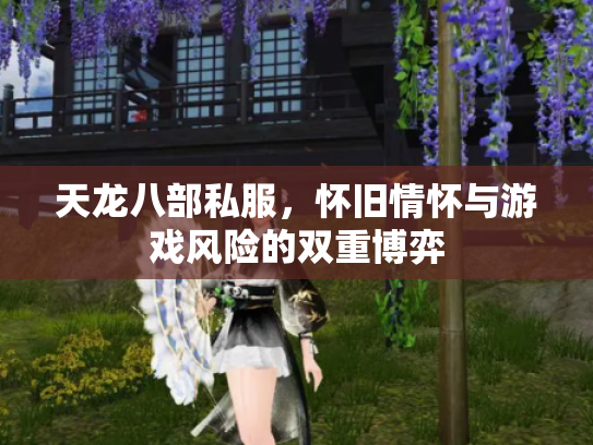 天龙八部私服，怀旧情怀与游戏风险的双重博弈