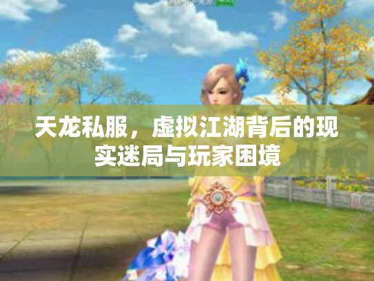 天龙私服，虚拟江湖背后的现实迷局与玩家困境