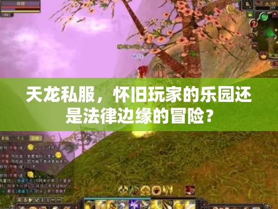 天龙私服，怀旧玩家的乐园还是法律边缘的冒险？