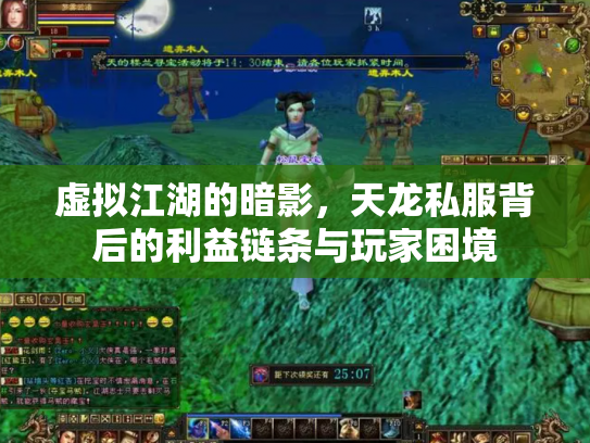 虚拟江湖的暗影，天龙私服背后的利益链条与玩家困境