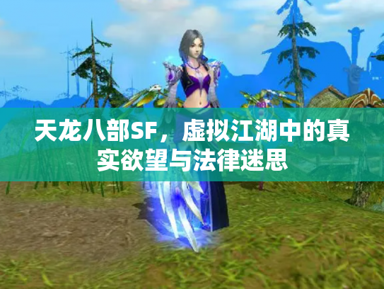 天龙八部SF，虚拟江湖中的真实欲望与法律迷思