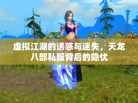 虚拟江湖的诱惑与迷失，天龙八部私服背后的隐忧