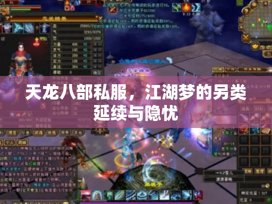天龙八部私服，江湖梦的另类延续与隐忧