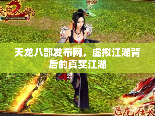 天龙八部发布网，虚拟江湖背后的真实江湖