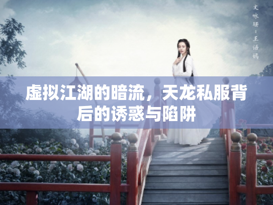 虚拟江湖的暗流，天龙私服背后的诱惑与陷阱
