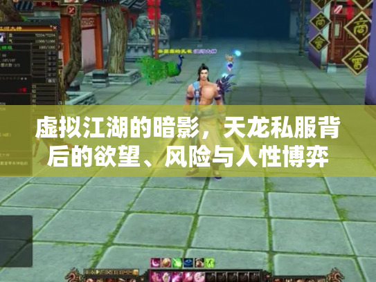 虚拟江湖的暗影，天龙私服背后的欲望、风险与人性博弈
