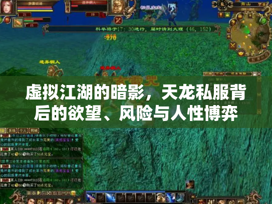 虚拟江湖的暗影，天龙私服背后的欲望、风险与人性博弈