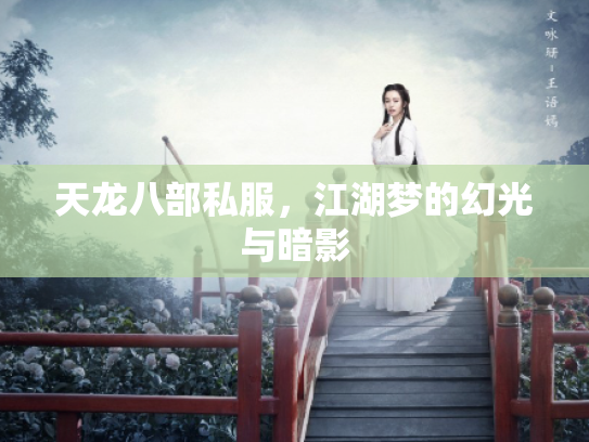 天龙八部私服，江湖梦的幻光与暗影