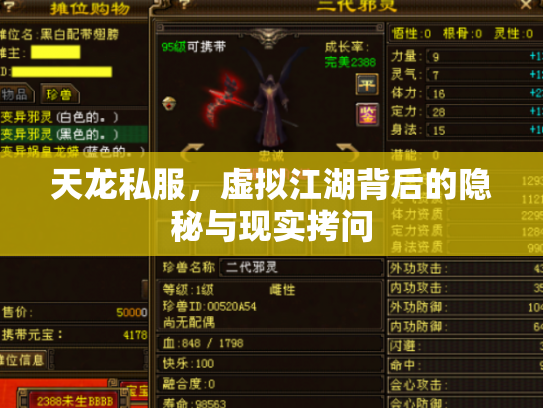 天龙私服，虚拟江湖背后的隐秘与现实拷问