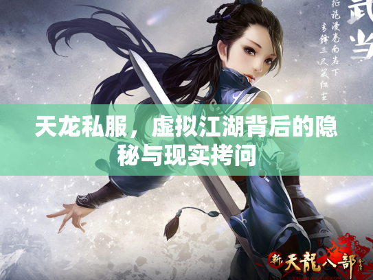 天龙私服，虚拟江湖背后的隐秘与现实拷问