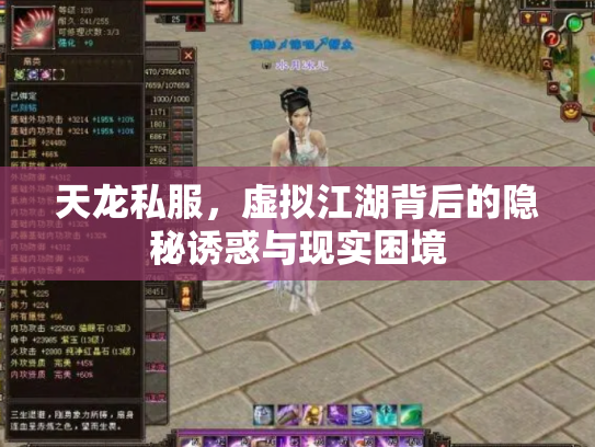 天龙私服，虚拟江湖背后的隐秘诱惑与现实困境
