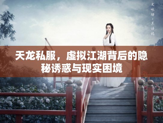 天龙私服，虚拟江湖背后的隐秘诱惑与现实困境