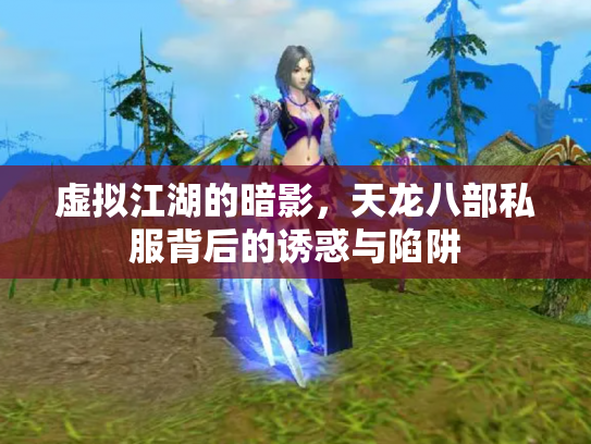 虚拟江湖的暗影，天龙八部私服背后的诱惑与陷阱