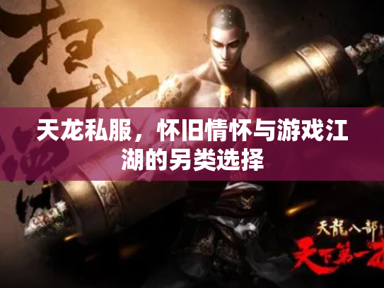 天龙私服，怀旧情怀与游戏江湖的另类选择