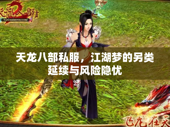 天龙八部私服，江湖梦的另类延续与风险隐忧