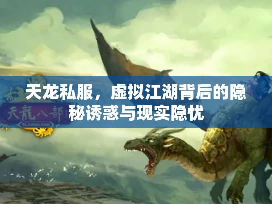 天龙私服，虚拟江湖背后的隐秘诱惑与现实隐忧