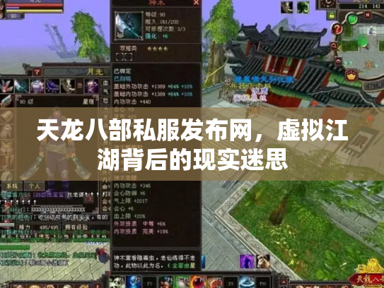 天龙八部私服发布网，虚拟江湖背后的现实迷思