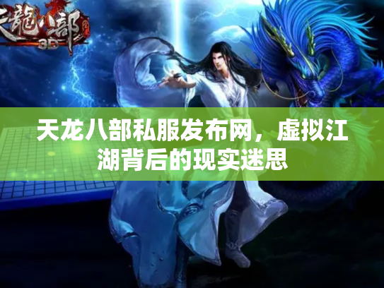 天龙八部私服发布网，虚拟江湖背后的现实迷思