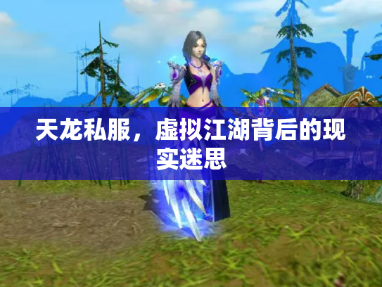 天龙私服，虚拟江湖背后的现实迷思