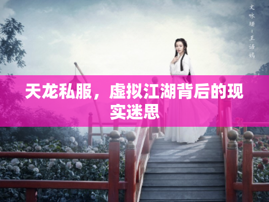 天龙私服，虚拟江湖背后的现实迷思