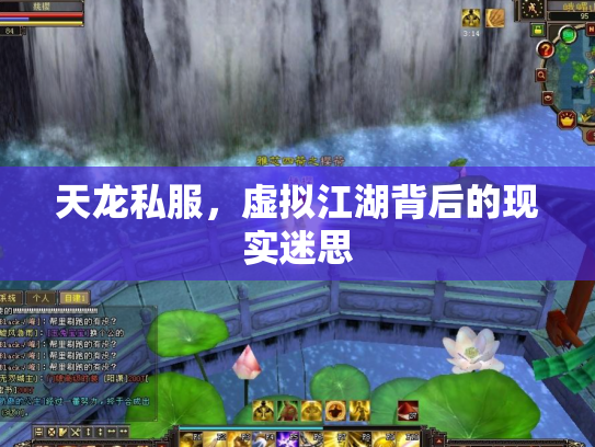 天龙私服，虚拟江湖背后的现实迷思