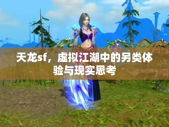 天龙sf，虚拟江湖中的另类体验与现实思考