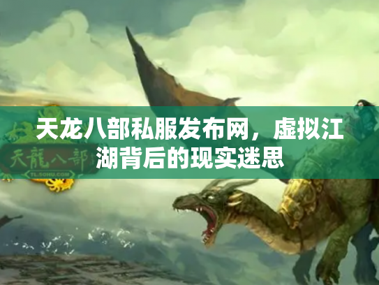 天龙八部私服发布网，虚拟江湖背后的现实迷思