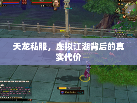 天龙私服，虚拟江湖背后的真实代价