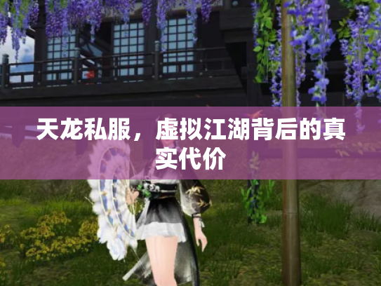 天龙私服，虚拟江湖背后的真实代价