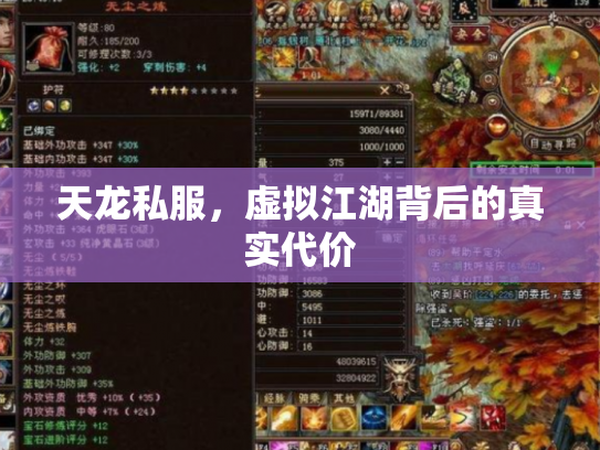 天龙私服，虚拟江湖背后的真实代价