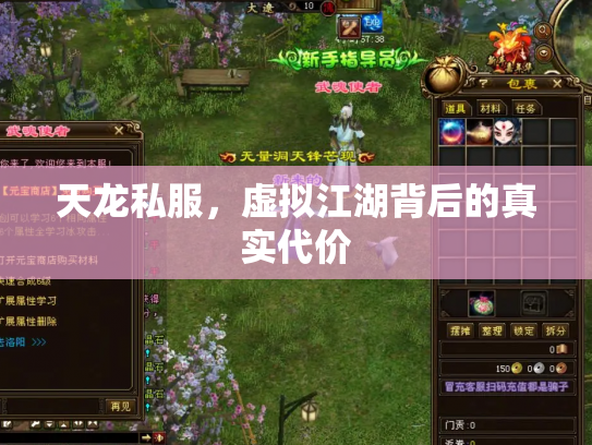 天龙私服，虚拟江湖背后的真实代价