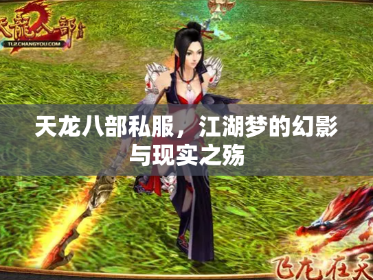 天龙八部私服，江湖梦的幻影与现实之殇