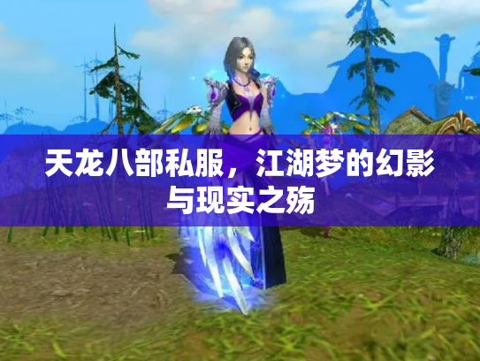 天龙八部私服，江湖梦的幻影与现实之殇