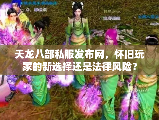 天龙八部私服发布网，怀旧玩家的新选择还是法律风险？
