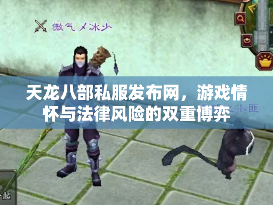 天龙八部私服发布网，游戏情怀与法律风险的双重博弈