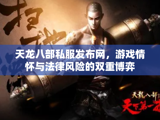 天龙八部私服发布网，游戏情怀与法律风险的双重博弈
