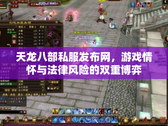 天龙八部私服发布网，游戏情怀与法律风险的双重博弈
