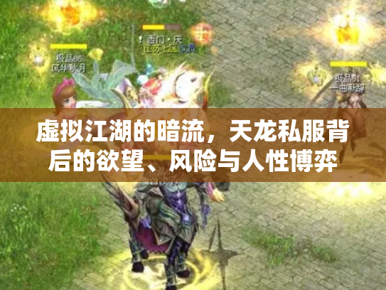 虚拟江湖的暗流，天龙私服背后的欲望、风险与人性博弈
