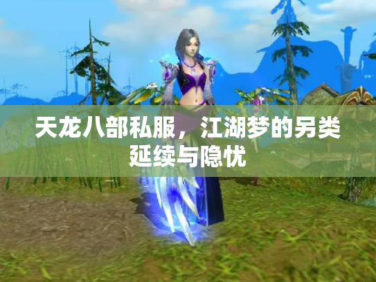 天龙八部私服，江湖梦的另类延续与隐忧