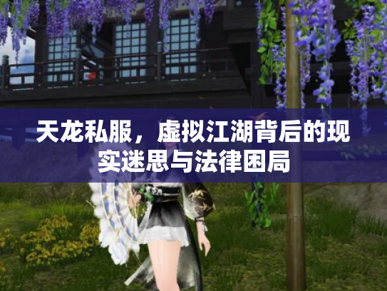 天龙私服，虚拟江湖背后的现实迷思与法律困局