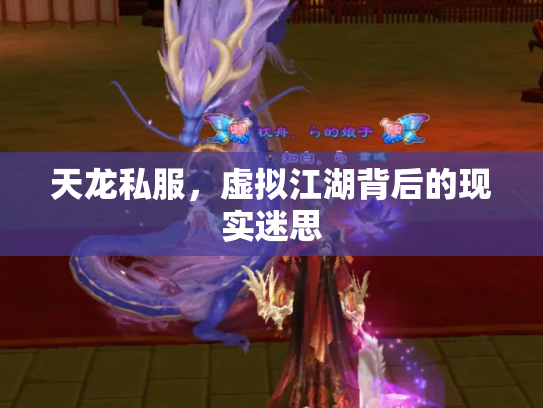 天龙私服，虚拟江湖背后的现实迷思