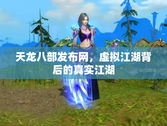 天龙八部发布网，虚拟江湖背后的真实江湖