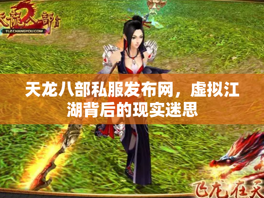 天龙八部私服发布网，虚拟江湖背后的现实迷思