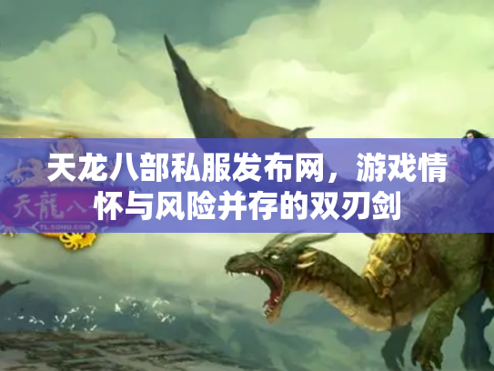 天龙八部私服发布网，游戏情怀与风险并存的双刃剑