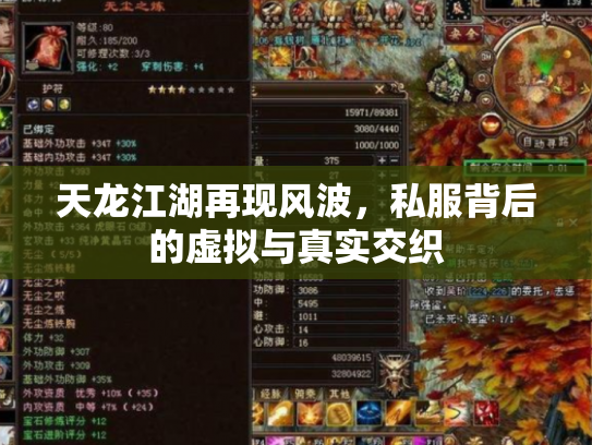 天龙江湖再现风波，私服背后的虚拟与真实交织